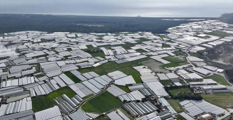 Sıfır Atık İle Geri Dönüşümün Öncüsü: Seydikemer'de Plastik Klips Üretimi