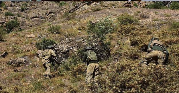 Siirt'te 2 Terörist İmha Edildi