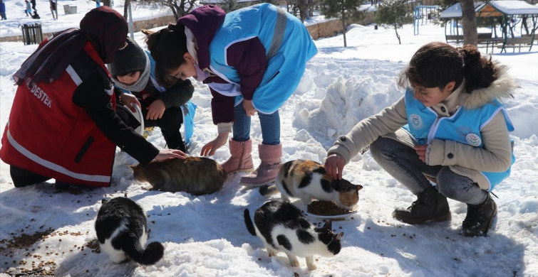Siirt'te Akran Zorbalığına Karşı Farkındalık Projesi