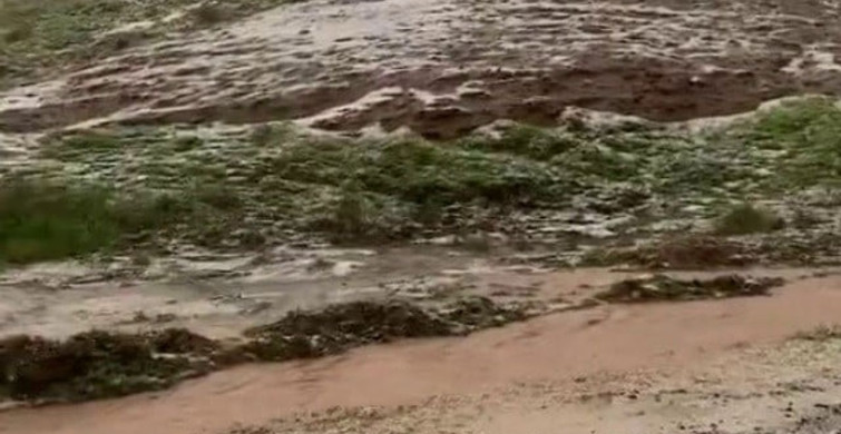 Siirt'te Dolu Yağışı Tarım Alanlarına Zarar Verdi