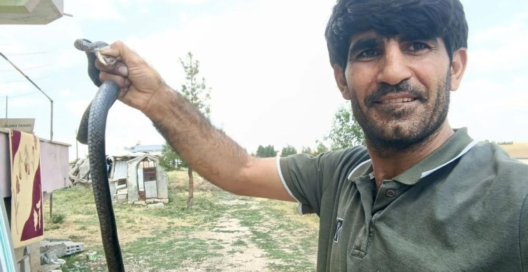 Siirt'te evine giren yılanı çıplak elle yakaladı