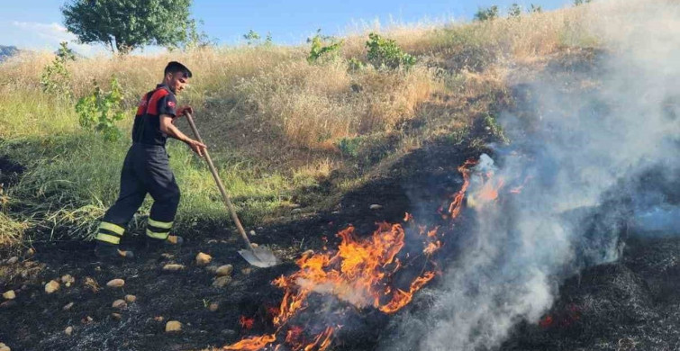 Siirt'te Fıstık ve Üzüm Bağlarına Sıçrayan Yangın