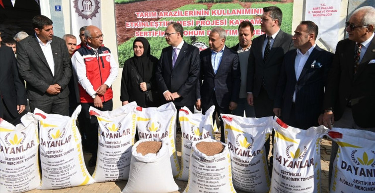 Siirt'te Kırmızı Mercimek Tohumu Dağıtımı Başladı