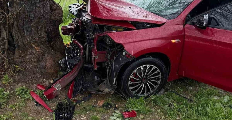 Siirt'te Otomobil Ağaca Çarptı: Sürücü Yaralı