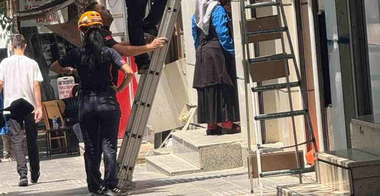 Siirt'te reklam panosuna sıkışan yavru kedi afad ekiplerince kurtarıldı