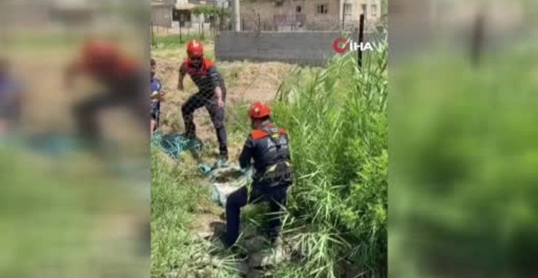 Siirt’te su kuyusuna düşen köpek kurtarıldı