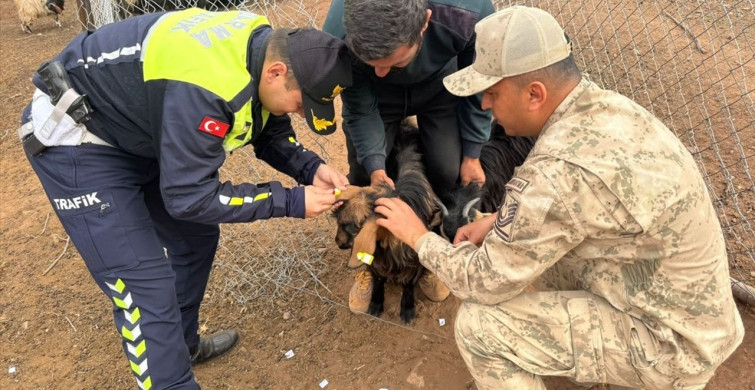 Siirt'te Trafik Güvenliği için Reflektörlü Bant Uygulaması