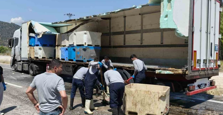 Silifke'de tırın dorsesindeki 15 ton balık atığı yola döküldü