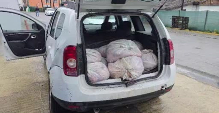 Silivri'de 306 Kilo At Eti Ele Geçirildi