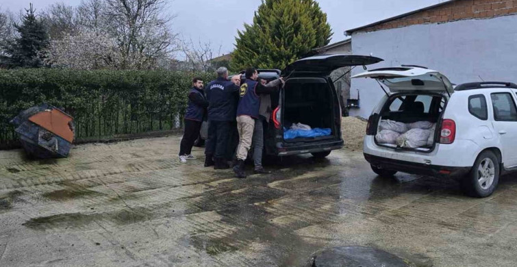 Silivri'de At Eti Operasyonu: 306 Kilo Ele Geçirildi