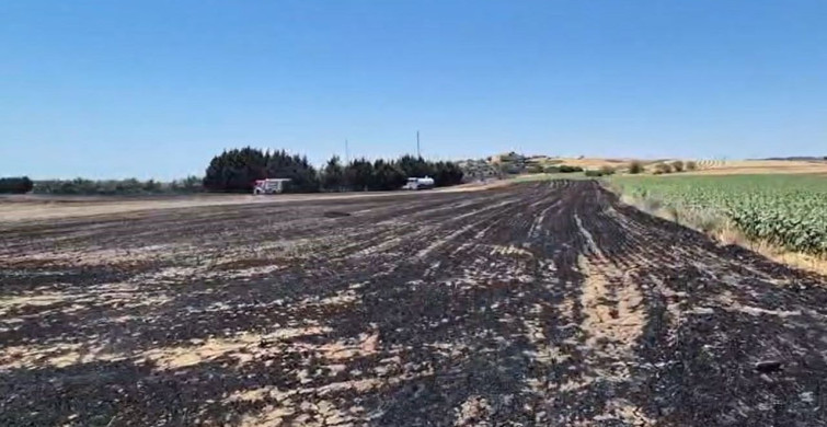 Silivri'de elektrik direği kesimi sırasında yangın çıktı, tarım arazileri zarar gördü