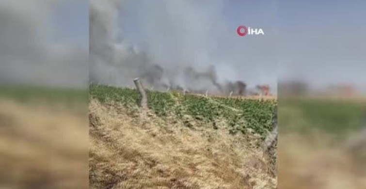 Silivri'de elektrik direği kesimi sırasında yangın: ekili araziler zarar gördü