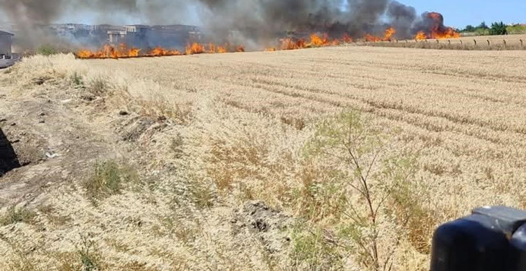 Silivri'de iki tarla yangını itfaiye ekipleri tarafından söndürüldü
