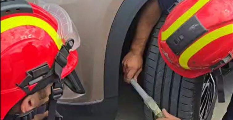Silivri'de Motor Kısmında Doğan 6 Kedi Kurtarıldı