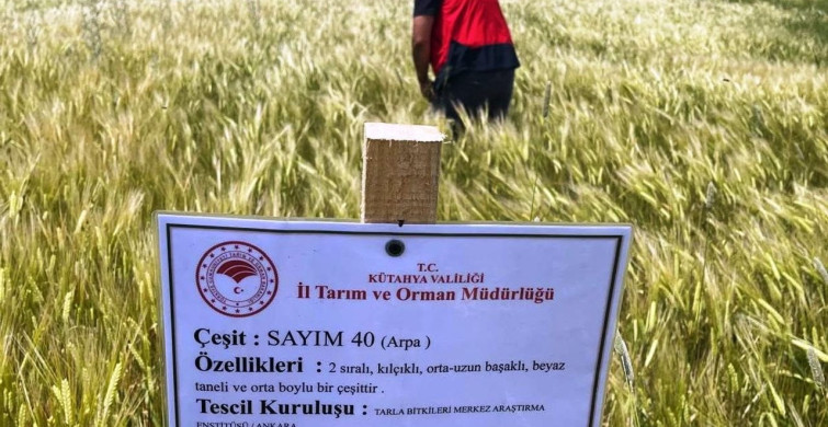Simav'da arpa demonstrasyonlarında kontroller devam ediyor