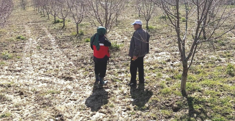 Simav'da Üreticilere Dondan Korunma Uyarısı