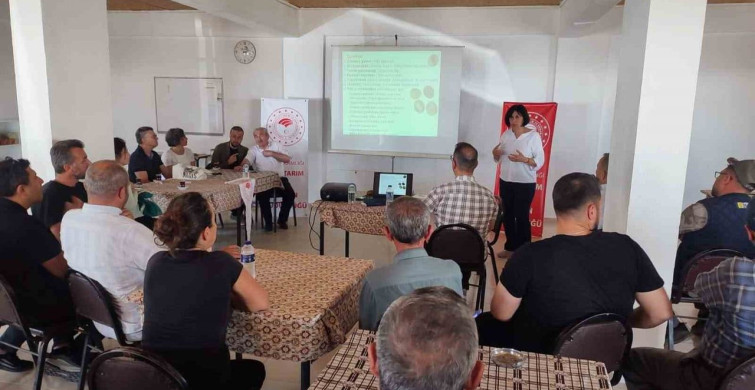 Simav'daki seracılara domates hastalıkları ve zararlıları eğitimi verildi