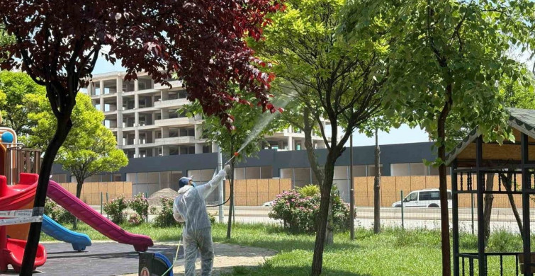 Sincan Belediyesi Yaz Aylarında İlaçlama Çalışmalarına Başladı
