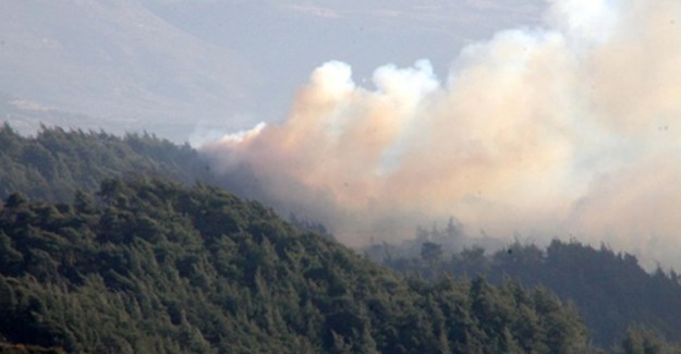 Sınırda Orman Yangını