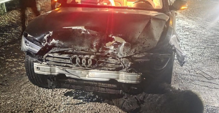 Sinop Belediye Başkanı'nın Makam Aracına Domuz Sürüsü Çarptı