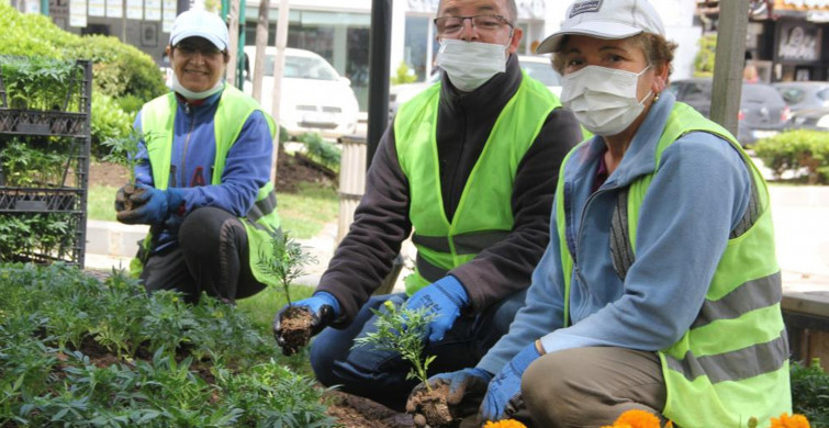 Sinop Yaz Sezonunu Açtı! 40 Bin Çiçek Ekiliyor