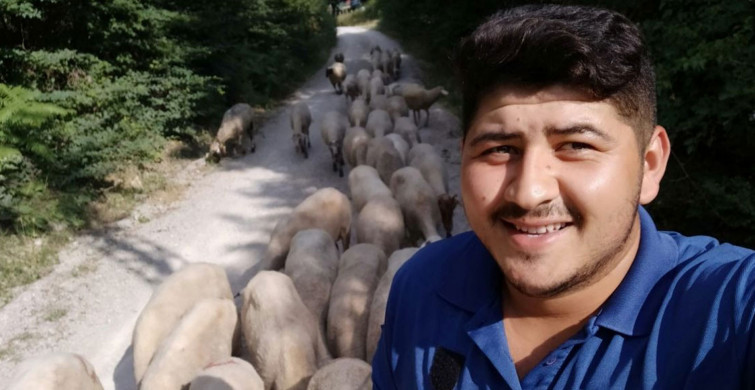 Sinop'ta Ay Yıldızlı Koyun Sürüsü Görenlerin İlgi Odağı Oluyor