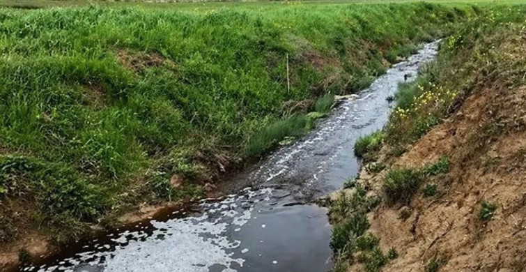 Sinop'ta Çevre Kirliliği Nedeniyle Rekor Ceza Uygulandı