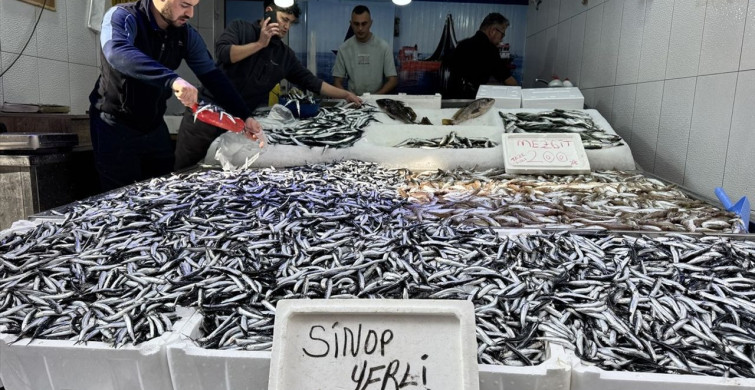 Sinop'ta Hamsi Fiyatları Düşüyor