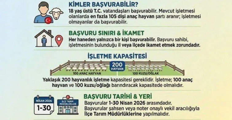 Sinop'ta Küçükbaş Hayvancılık Desteği Başladı