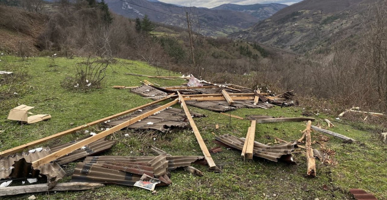 Sinop'ta Kuvvetli Rüzgar Arılığa Zarar Verdi