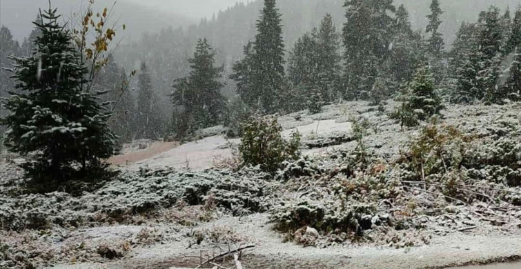 Sinop'ta Mevsimin İlk Karı