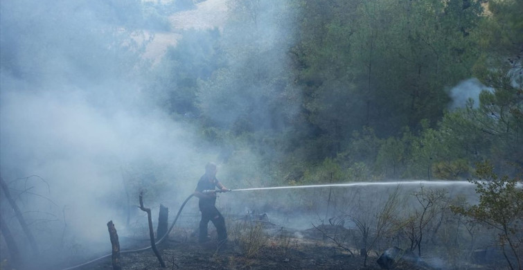 Sinop’ta Orman Yangını: Müdahale Devam Ediyor