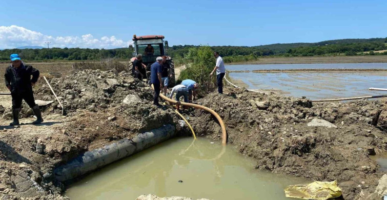 Sinop’ta Sulama Hattı Patladı, Üreticiler Zorda