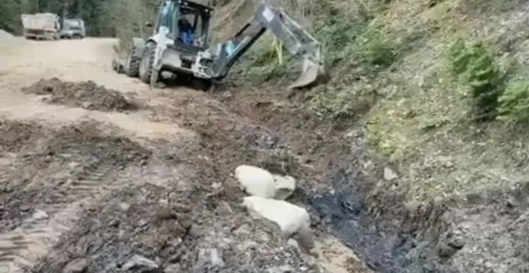 Sinop'ta Taşkın Önleme Çalışmaları Hız Kesmeden Devam Ediyor