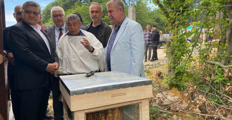 Sinop’ta Türkiye’nin 913’üncü Bal Ormanı Açıldı