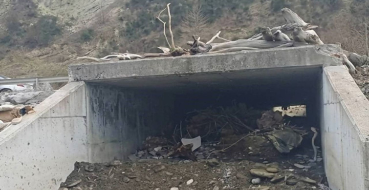 Sinop'ta Yaz Mevsimi için Ulaşım Güvenliği Artırılıyor