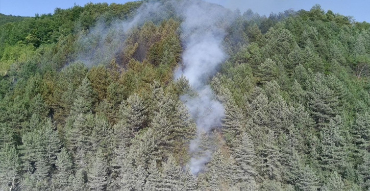 Sinop'taki Orman Yangını Kontrol Altına Alındı