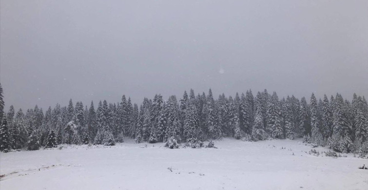 Sinop'un Türkeli İlçesinde Beyaz Örtü
