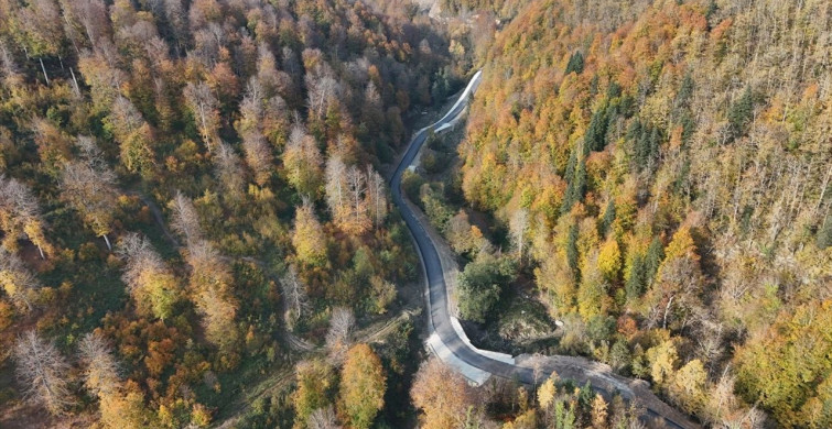 Sinop'un Türkeli İlçesinde Sonbaharın Renk Cümbüşü