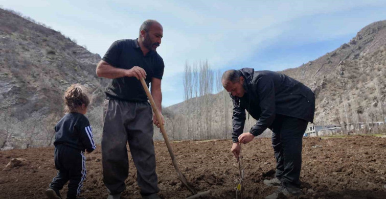 Şırnak’ta 25 Dönüm Arazisinde Devlet Destekli Meyve Bahçesi Kurdu