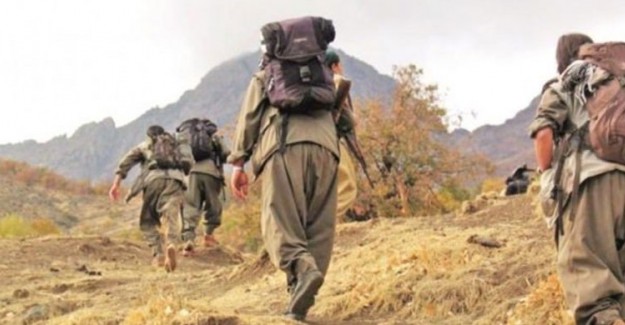Şırnak'ta Çatışma! Üst Düzey PKK'lı Yaralı Olarak Yakalandı