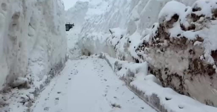 Şırnak'ta Çığ Felaketi: Yol Açma Çalışmaları Sürüyor