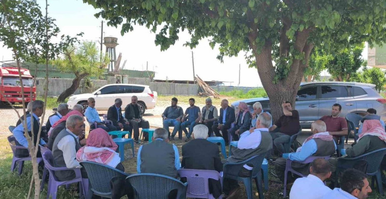 Şırnak'ta Geleneksel Koyun Kırkma Etkinliği