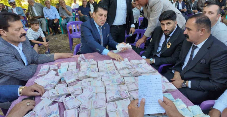 Şırnak'ta göz alıcı düğün: 6 milyon lira takı ve 35 koyun kesildi