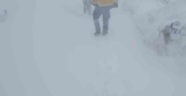 Şırnak'ta İlkbaharda Yaşanan Kar Yağışı Yaşamı Olumsuz Etkiledi