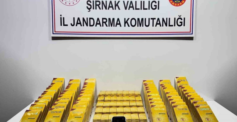 Şırnak'ta Jandarma Operasyonları: Kaçakçılığa Geçit Yok