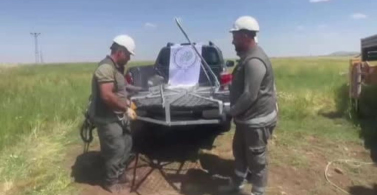 Şırnak'ta Leylekler İçin Güvenli Yuva Projesi