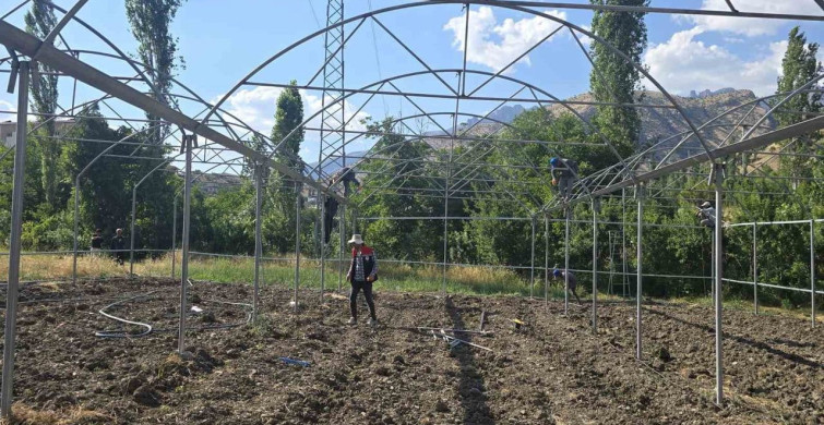 Şırnak'ta sera yatırımları yerinde incelendi