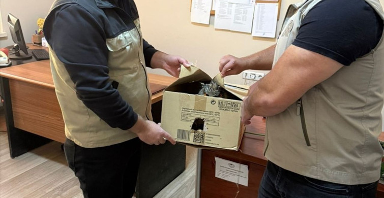 Şırnak'ta Yaralı Kuşlar Tedavi Edildi