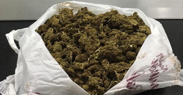 Sırt Çantasında Sakladığı Skunk İle Yakalandı